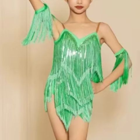 New Latin Performance Dance Dr - огляд і ціна Outdoor Sport Dress